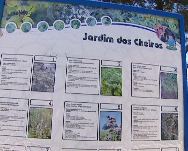 Grutas de Mira D’Aire II