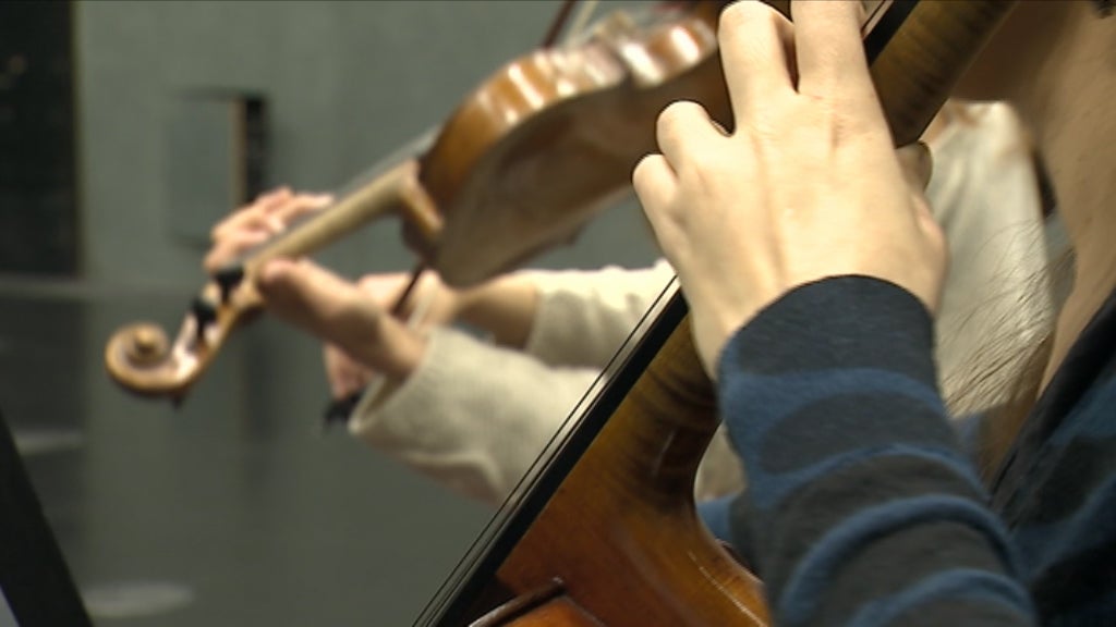 Festival “Echo Rising Stars”