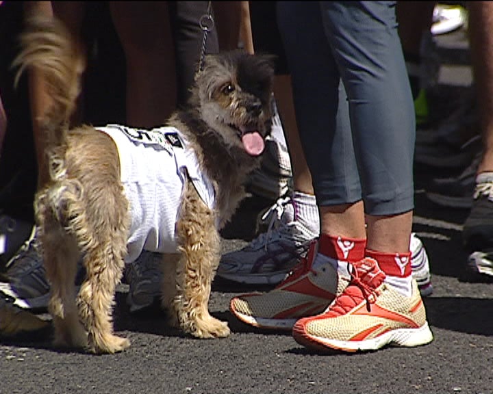 Corrida das novas oportunidades