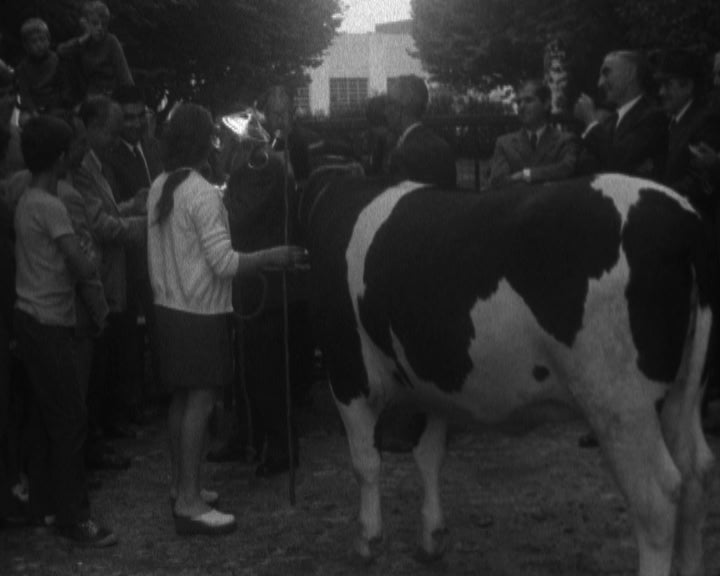 11ª Festa das Colheitas em Vila do Conde