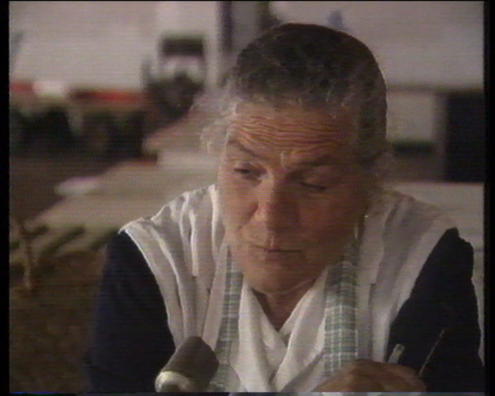 Proibição do comércio de bivalves