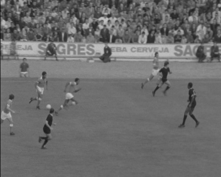 Futebol: SL Benfica vs Beira-Mar