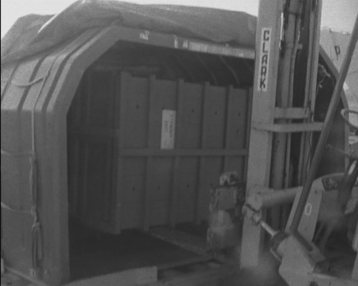 Embarque de tigres para Moçambique