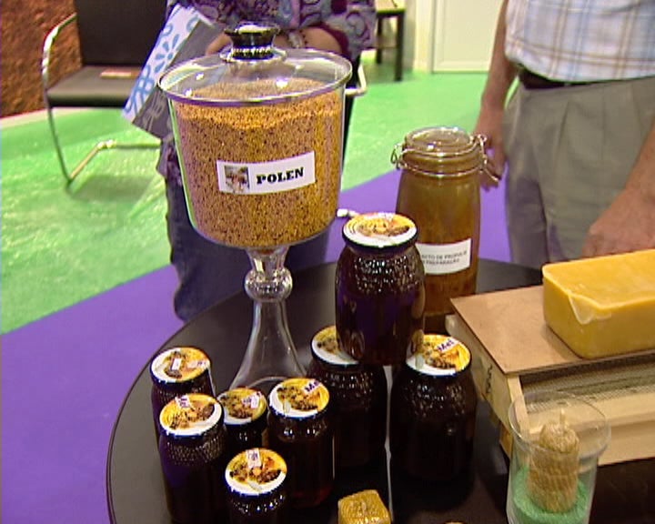 Feira da Agricultura de Santarém II