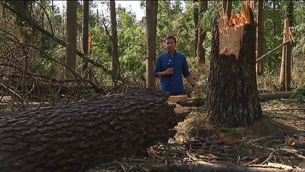 Tempestade Leslie destrói Serra da Boa Viagem