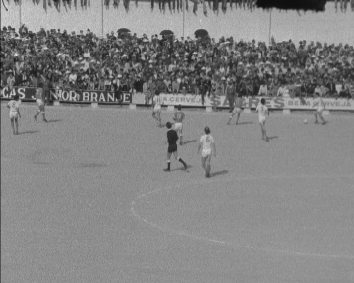 Futebol: Sporting Clube Olhanense vs Sport Lisboa e Benfica