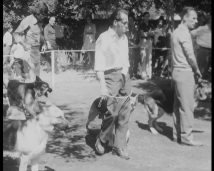 I exposição canina em Braga