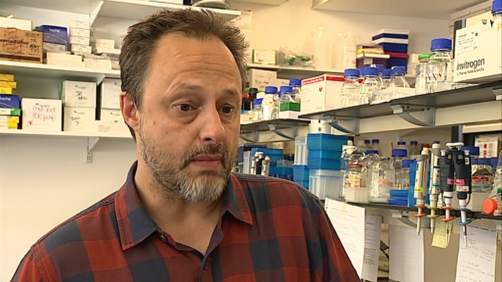 Vacina portuguesa contra a Malária