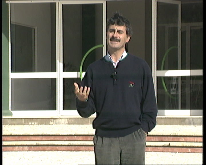 A comercialização dos produtos hortofrutícolas