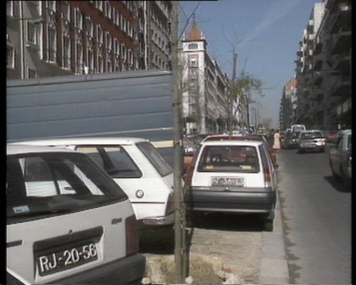 Abate de árvores em Lisboa