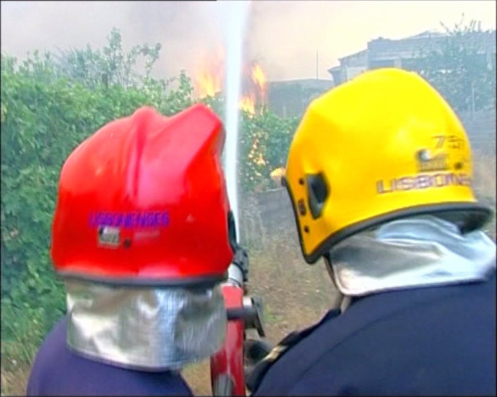 Quem anda a matar a floresta?