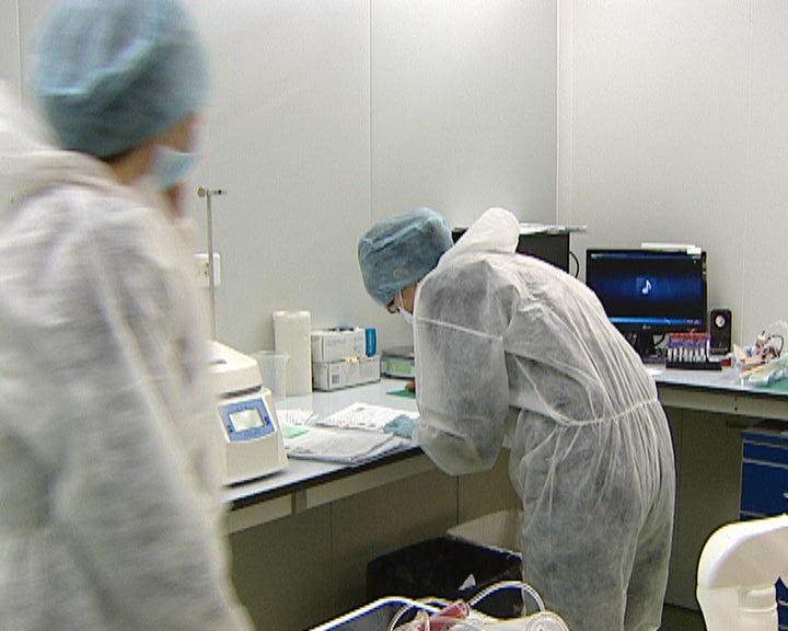 Banco de células estaminais