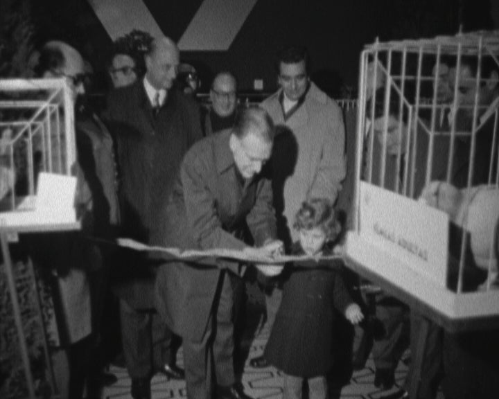 5ª Exposição de pombos-correio