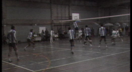 Voleibol: CDUP vs FC Porto