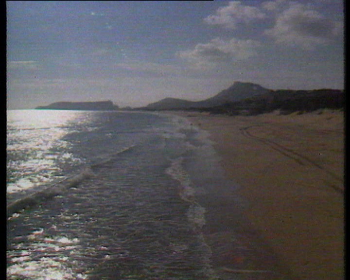 Operações de Limpeza do Crude em Porto Santo