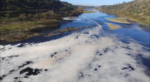 Poluição no rio Tejo