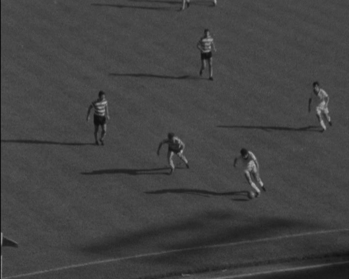 Futebol: Sporting vs Farense