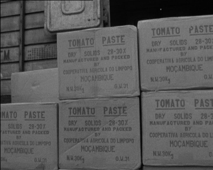 Embarque de concentrado de tomate no porto de Lourenço Marques