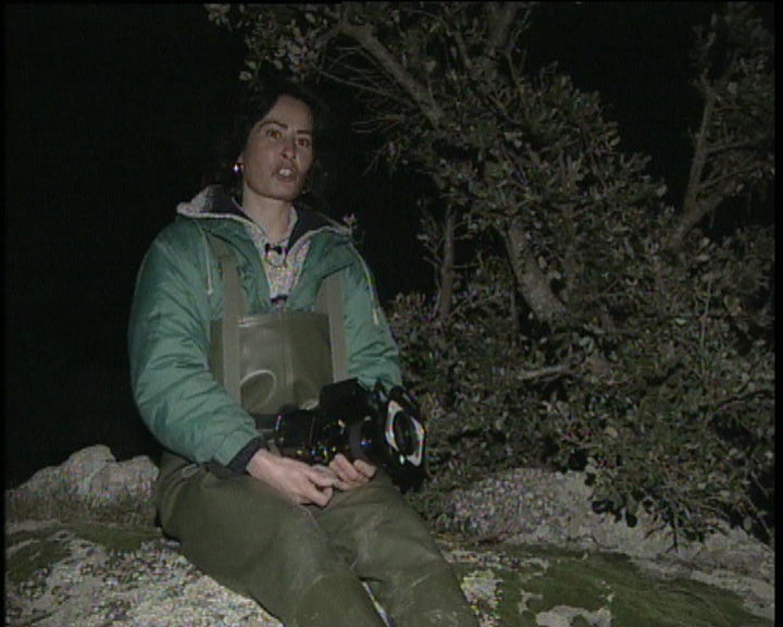 Crónica: O coaxar da foto