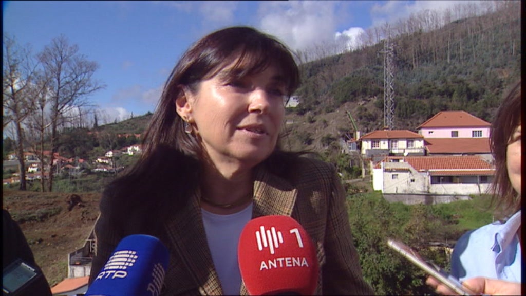Limpeza de terreno no caminho de Tornos no Monte