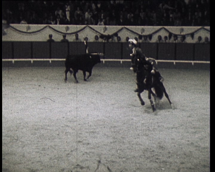 Morreu de José Mestre Baptista