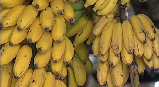 Reabertura do mercado dos Lavradores