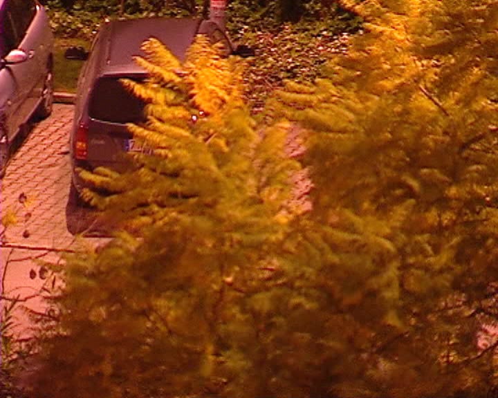 CDS contesta anuncio do governo