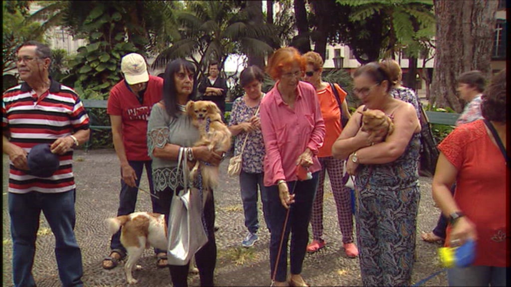 Bênção dos animais na Ilha da Madeira