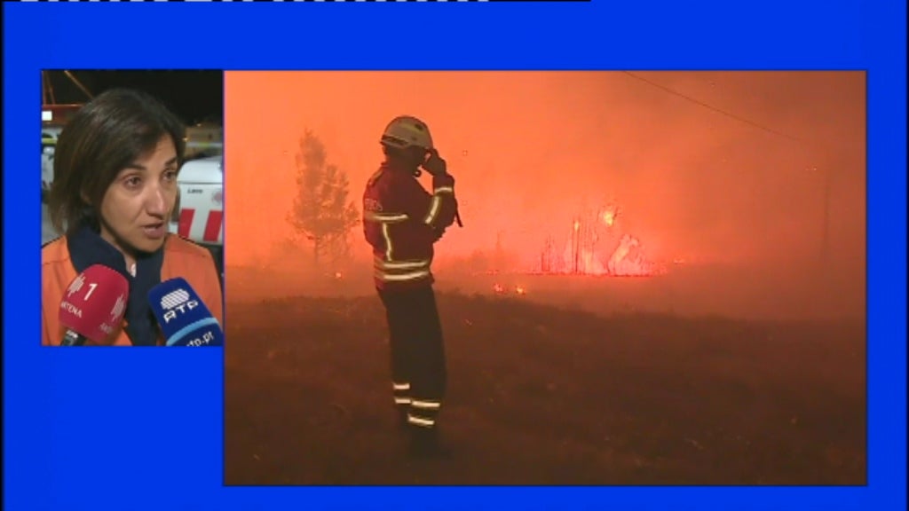 Incêndio florestal em Abrantes