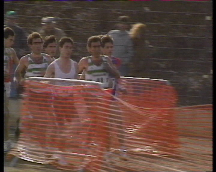 Taça dos campeões Europeus de Corta Mato