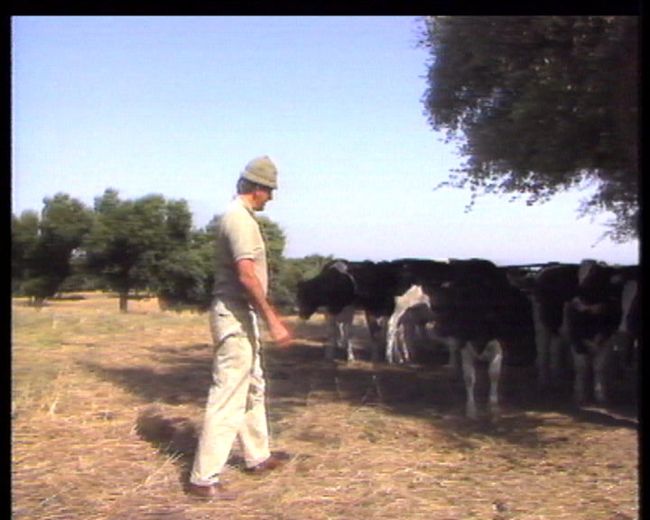 Investimento holandês no Alentejo