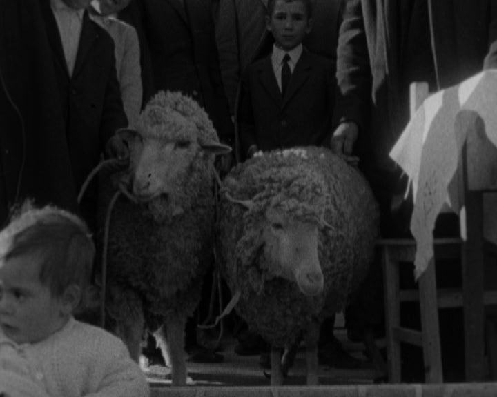 Festividades em honra da construção da Capela de Santo Amaro