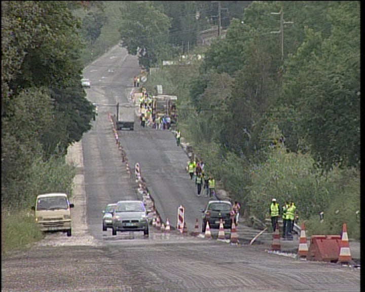 Peregrinos a Caminho de Fátima