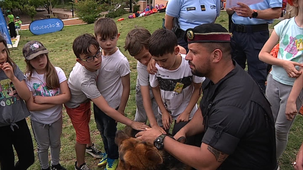 Dia Nacional da Segurança Infantil