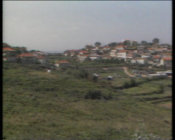 Posição dos autarcas sobre o PROAVE