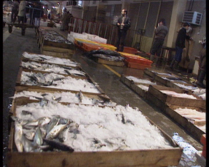 Contestação na Docapesca