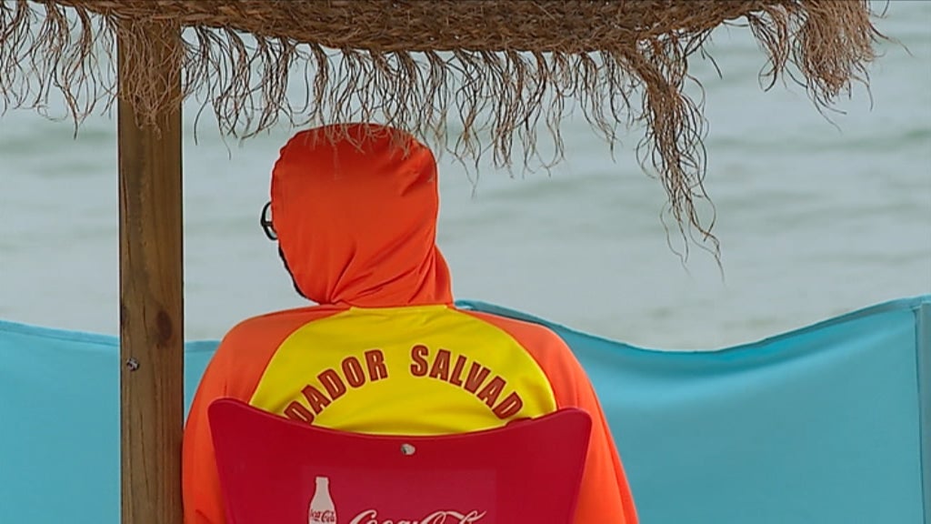 Maré Vermelha no Algarve