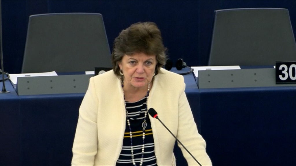 Politica nacional no Parlamento Europeu