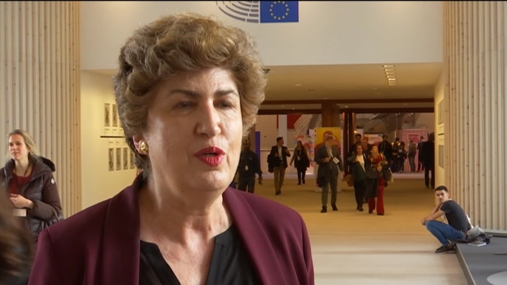 Influência dos eurodeputados nacionais