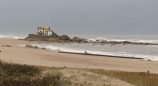Praias limpas dos polvos mortos que deram à costa