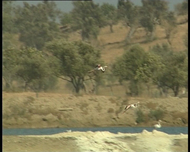 Algarve-Passado, Presente e Futuro