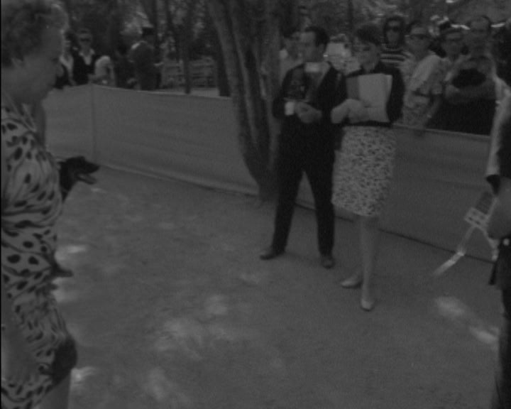 18ª Exposição Canina Internacional do Estoril