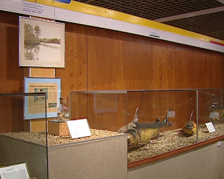 Museu de Ciências Naturais da Amazónia