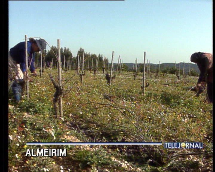 Formação agrícola