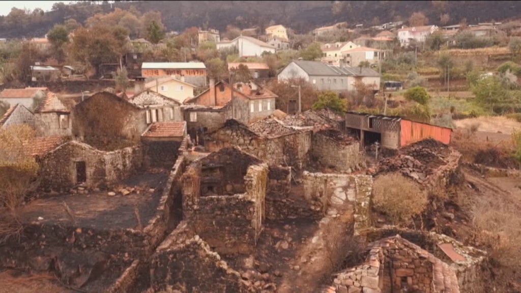 Relatório sobre incêndios florestais