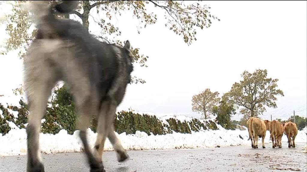 Alerta amarelo em Portugal