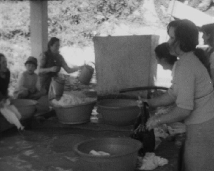 Populares reparam estrada em Gondomar