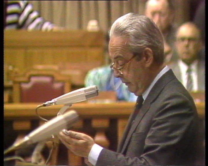 Deputados interpelam o Governo