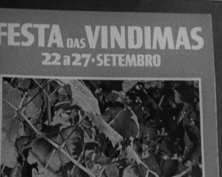 Festival das Vindimas