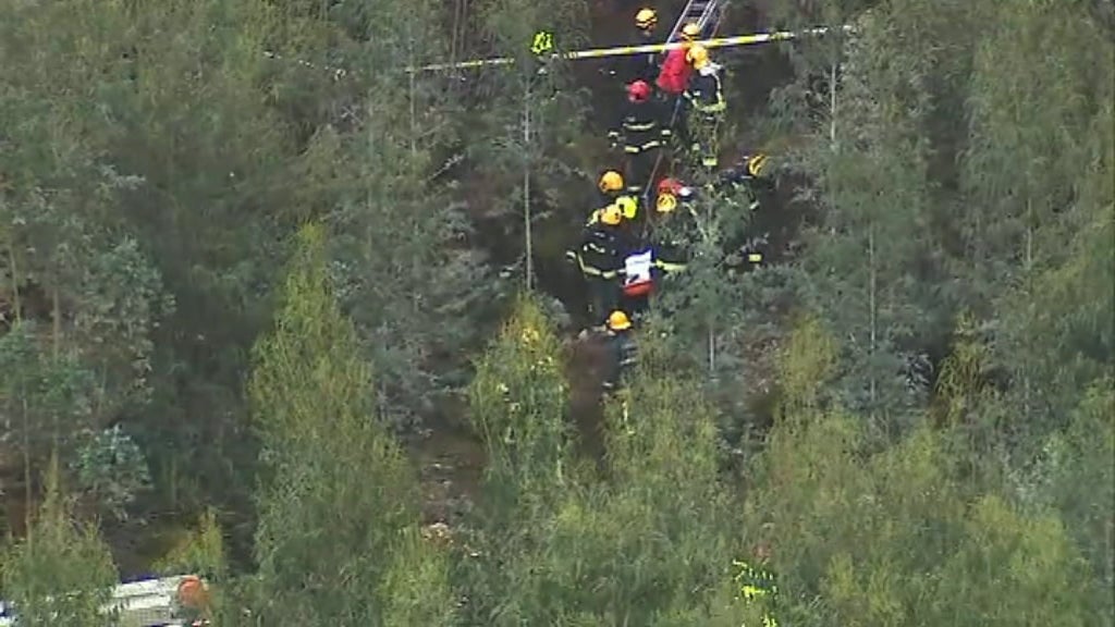 A Organização da Proteção Civil